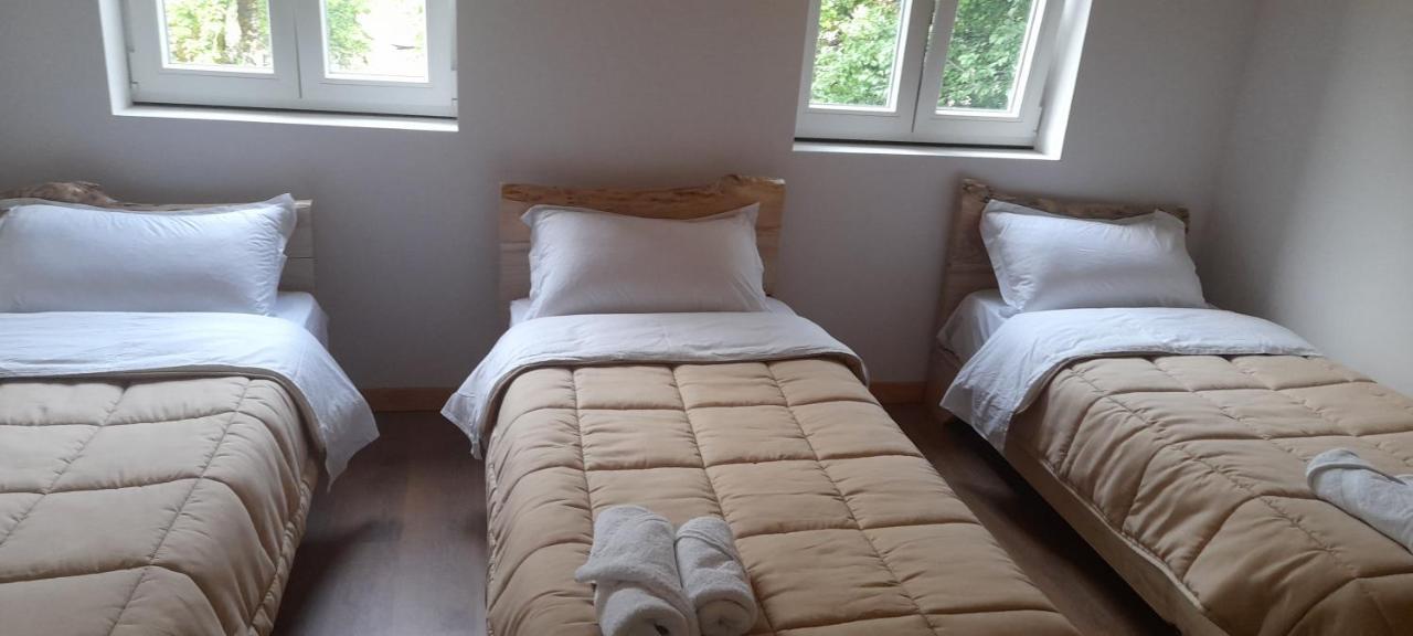 Guesthouse Dritan Tethorja Theth Værelse billede