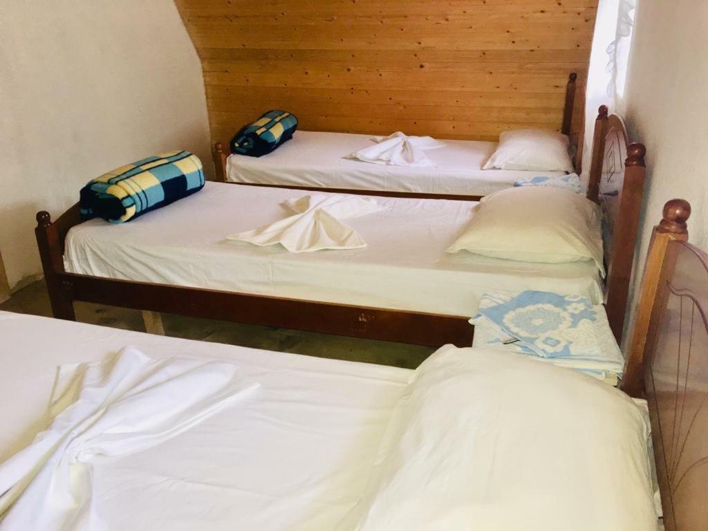 Guesthouse Dritan Tethorja Theth Eksteriør billede